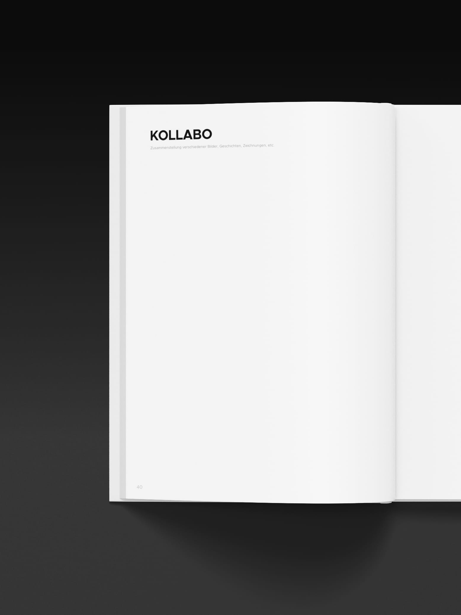 The friendship book's Collaboration pages